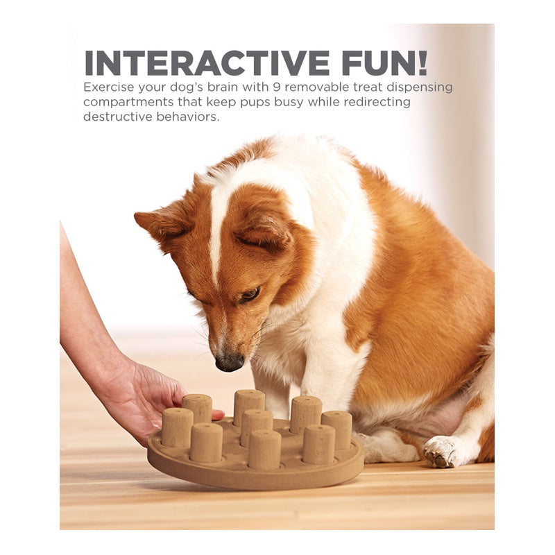 Outward Hound Dog Smart Composite Interactive Treat Puzzle Toy