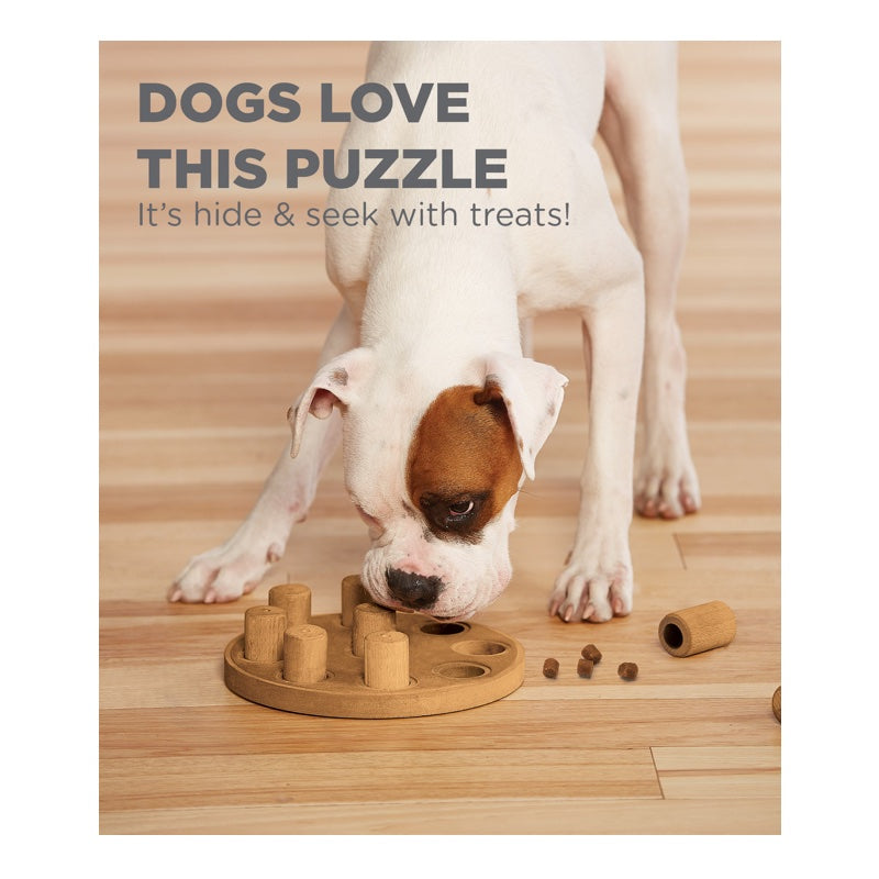 Outward Hound Dog Smart Composite Interactive Treat Puzzle Toy